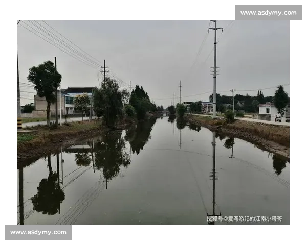 杭州河道垂钓火出圈:222 处钓点藏着民生温度 杭州河道垂钓火出圈:222 处钓点藏着民生温度